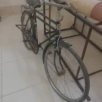 دوچرخه چینی|دوچرخه، اسکیت، اسکوتر|کاشمر, |دیوار