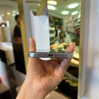 اپل iPhone 16 Pro Max با حافظهٔ ۲۵۶ گیگابایت|موبایل|شیراز, زند|دیوار