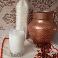 دوغ کفیر