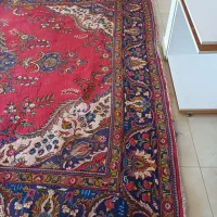 فرش دست باف وماشینی|فرش|ارومیه, |دیوار