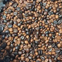 فروش دان قهوه با ارزانترین قیمت وبهترین کیفیت