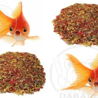 غذای ماهی پولکی وبیوماربادرصدپروتئین بالا