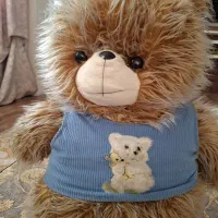 خرس عروسک|اسباببازی|میاندوآب, |دیوار