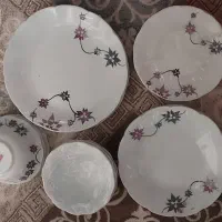 سرویس آرکوپال نو۲۴پارچه.