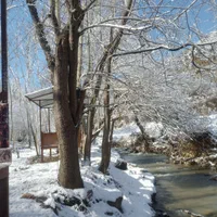 سوییت نوساز وشیک لب رودخانه و دشت|اجارهٔ کوتاهمدت ویلا و باغ|آلاشت, |دیوار