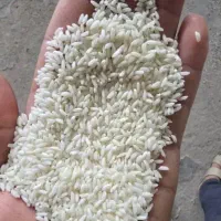 برنج تایلندی