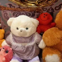 تعداد  ۱۲ عدد عروسک های قشنگ وبادوام|اسباب‌بازی بچه|شیراز, معالی‌آباد|دیوار