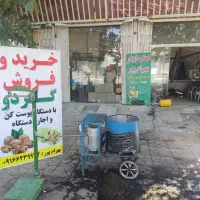 پوست کندن گردو