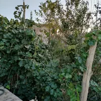 فروش خانه باغ ویلایی