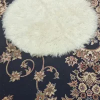 پادری خزنو