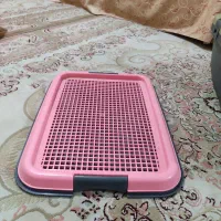 باکس، شیدگردن،ظرف غذا، لباس، سینی ادرار