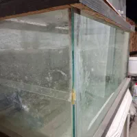 آکواریوم بزرگ|ماهی|رامسر, |دیوار