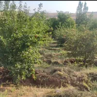 باغ کشاورزی روستای هیراب