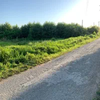 فروش-300متر-زمین-مسکونی