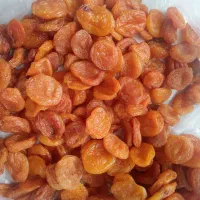 قیسی ازبک