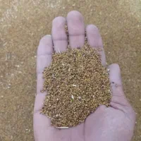 ۴۶کیلوی بزر یونجه محلی