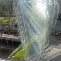 دو عدد کمباین زنجیری زوملاین هرکولس|خودرو سنگین|مرودشت, مختارآباد|دیوار