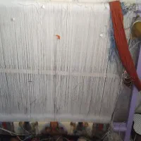 قالیچه نیمه کاره استاد بافت|فرش|ابهر, |دیوار