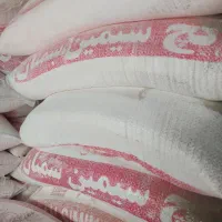 سیمان/بلوک/گچ/سفال/آجر با تحویل سریع و عمده|مصالح و تجهیزات ساختمان|رشت, بوسار|دیوار