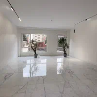 ۲۵۱ متر محمودیه ۴ خواب / دو پارکینگ/نوسازی شده