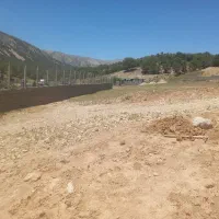 فروش زمین|فروش زمین و ملک کلنگی|سرفاریاب, |دیوار