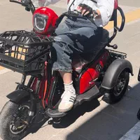 موتور سه چرخ برقی شارژی 2589