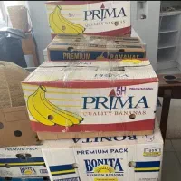 کارتن موز  در حد نو