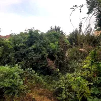 1500-متری-امامزاده-سند-تک-برگ-4-خواب