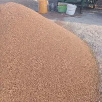 ۶ تن کنجد عالی و درجه یک