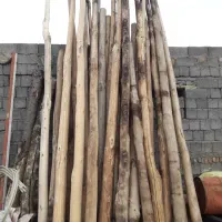 خرید چوب خشک|خدمات باغبانی و درختکاری|ارومیه, |دیوار