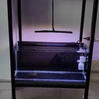 اکواریوم نو با وسایل مفت|ماهی|سنندج, |دیوار