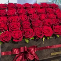 گل زیبا|گل و گیاه طبیعی|مرند, |دیوار