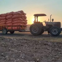 کاه گندم و یونجه