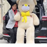 خرس عروسکی|اسباب‌‌بازی|خرم‌آباد, |دیوار