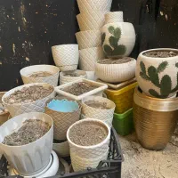 گلدان پلاستیکی و سفالی