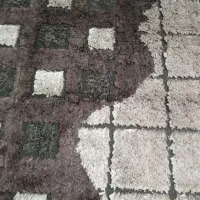 تعدادی گلیم پله ویک عددگلیم با دوعددپشتی|گلیم، جاجیم، گبه|قم, هفت تیر|دیوار