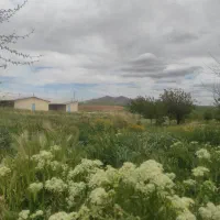 نگهبان و سرایدار تمام وقت