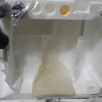 میکروسکوپ|پزشکی|شیراز, تلخ داش|دیوار