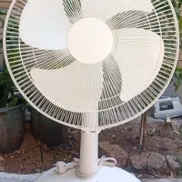 پنکه