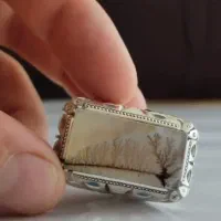 انگشتر نقره شجر فوق کلکسیونی|جواهرات|ششده و قره بلاغ, |دیوار