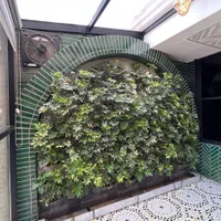 گرین وال طبیعی روف گاردن محوطه سازی گرینوال طبیعی|گل و گیاه طبیعی|تهران, شهرک چیتگر|دیوار