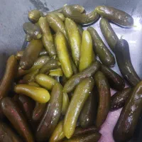 خیارشور|خوردنی و آشامیدنی|اصفهان, قهجاورستان|دیوار