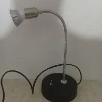 چراغ رشد گیاه و چراغ مطالعه