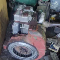 انواع لیستر و مارگو