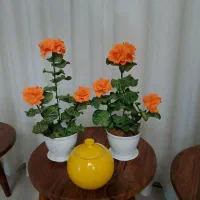 گل‌های فومی