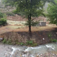 فروش زمین با مجوز مرغداری گوشتی