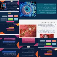 انجام پروژه‌های تحقیقاتی و پاورپوینت دانشجویی|خدمات آموزشی|ساری, |دیوار