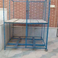 قفس
