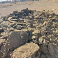 فروش عمده کودگاوی یاگوسفندی