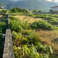 1000مترسند تک برگ با کابری مسکونی و پروانه ساخت|فروش زمین و ملک کلنگی|چابکسر, |دیوار